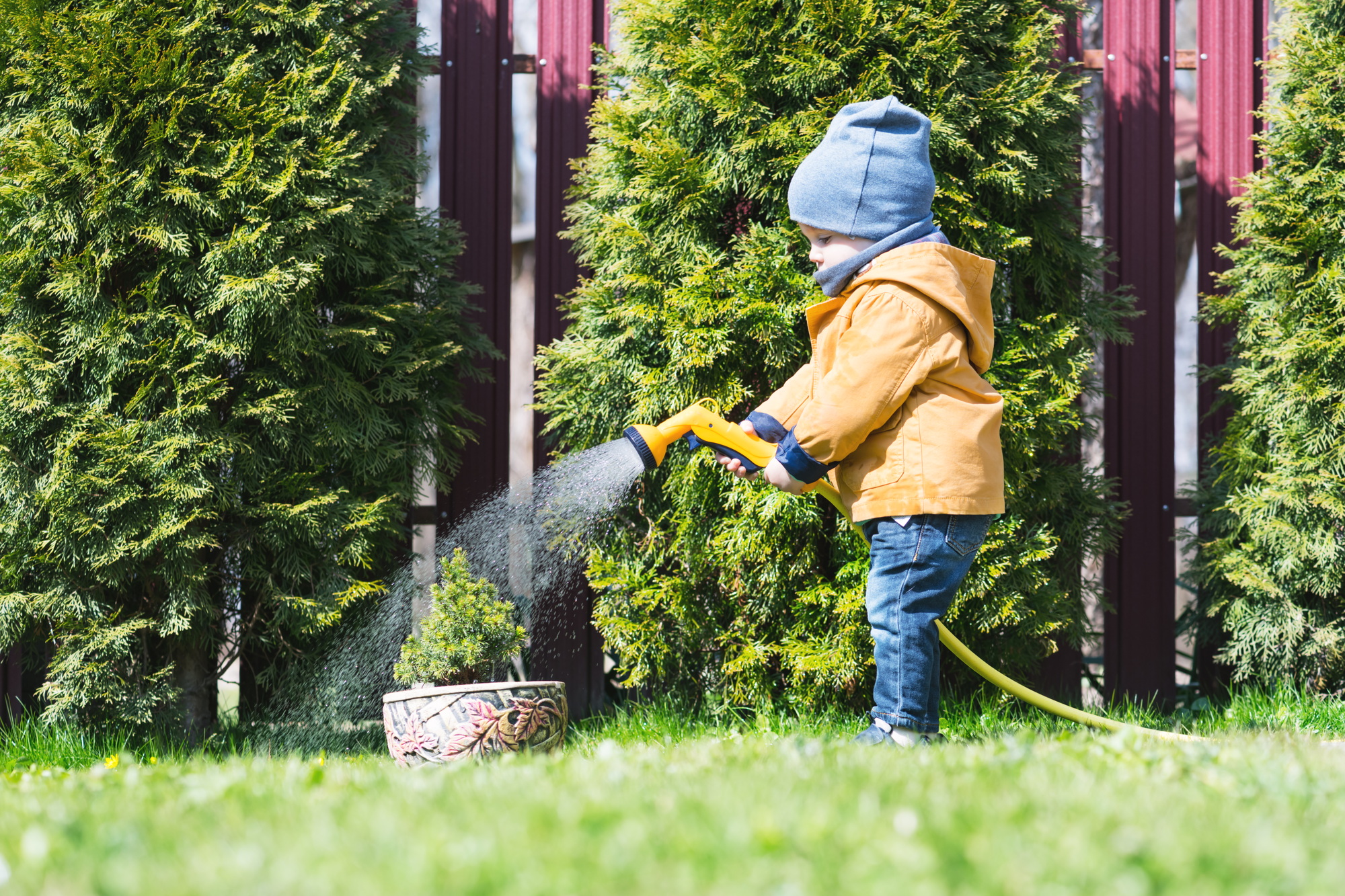 A boy watering soil